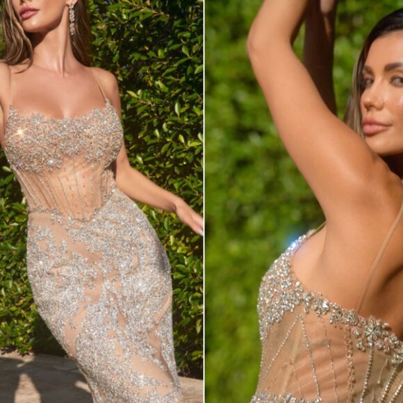 Ladivine Silver Nude Sparkle Crystal Pageant Dress Prom Gown 6 - Picture 4 of 11